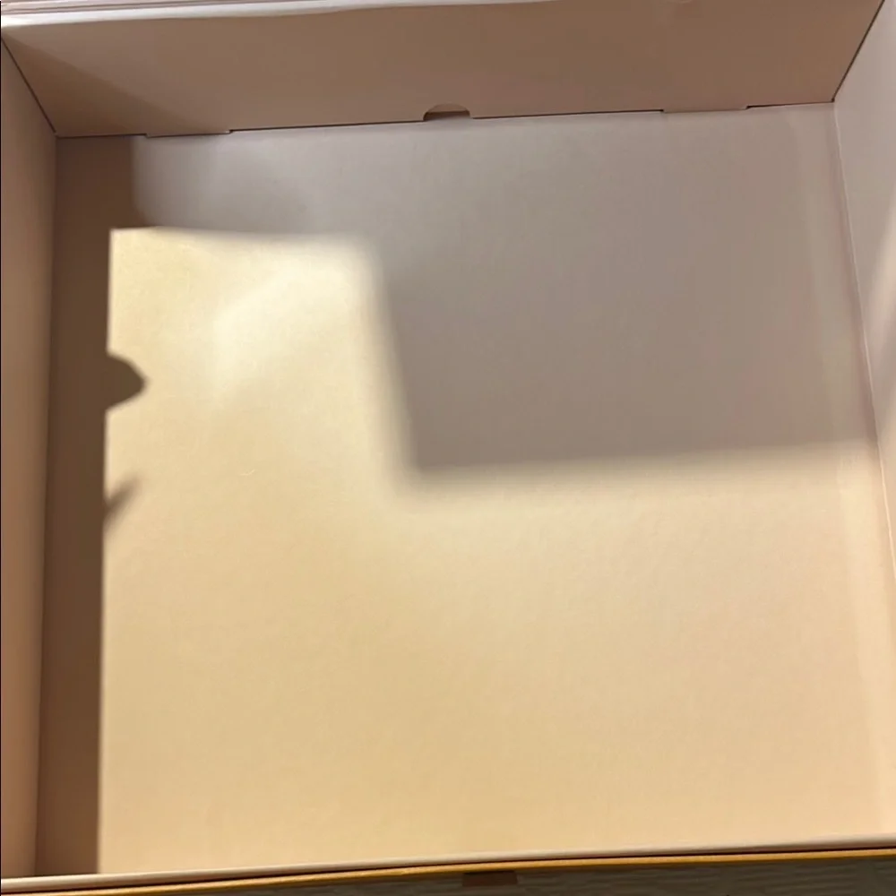 Louis Vuitton Signature  Box inside a LV shipping box with tissue and ribbon.